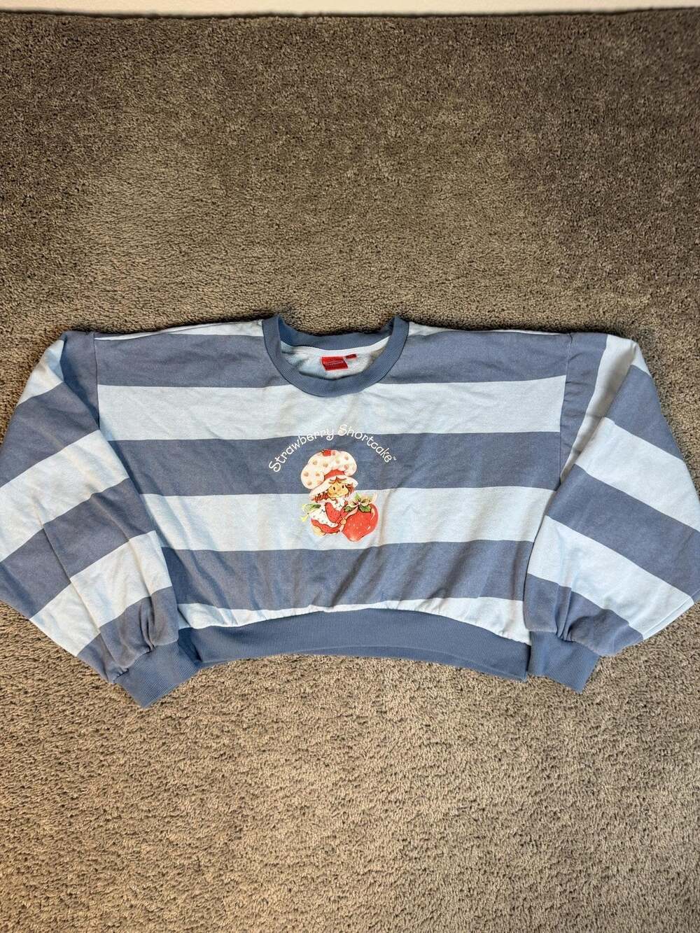 Strawberry Shortcake Sweatshirt Womens XXL Blue Striped Cropped Graphic Pullover